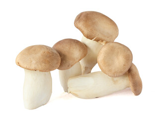 King oyster mushroom. Eryngii mushroom, on white background.