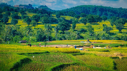 darma raja landscape