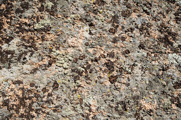 Background texture rock stone with moss