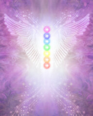 Angel Chakra Wings Certificate award Diploma Background - wide spread wings with seven chakras centrally positioned against  beautiful ethereal magenta background and copy space below
 - obrazy, fototapety, plakaty