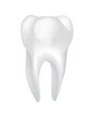 White shining human tooth. Dental medical icon. Stomatology clinic symbol. Teeth protection, oral or tooth care. Teeth restoration