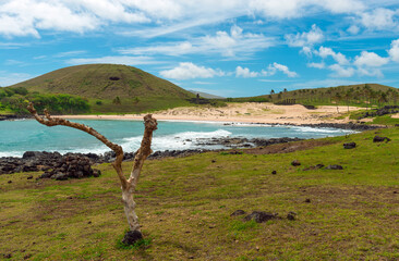 Anakena beach landscape by Pacific Ocean and Ahu Nau Nau Moai statues, Easter Island (Rapa Nui),...