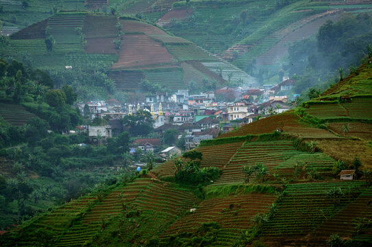 morning mist mountain and village