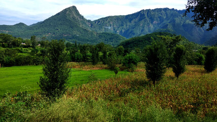 Fototapeta na wymiar landscape with trees and mountains