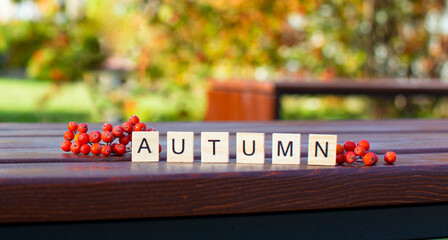 the word autumn from letters stands together with rowan berries. Autumn text on blurry colorful autumn leaves background