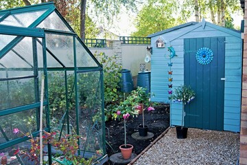 Greenhouse, gravel path and contemporary coloured sheds, with plants.