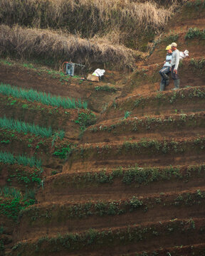 farmer resting