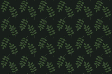 
Seamless pattern green leaves of acacia or mimosa on a white background. Suitable for fabrics, wrapping paper, wallpapers, covers.