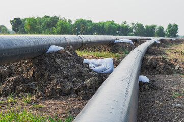 Construction of a new energy pipeline of Oil or Gas pipeline,Pipes at a construction site to be used in a new energy pipeline .