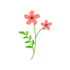 blooming flower vector illustration design on white background