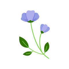 crocus flower vector illustration design on white background
