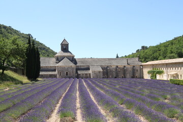 南仏プロヴァンス　セナンク修道院とラベンダー