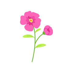 hibiscus flower vector illustration design on white background