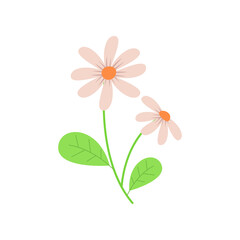 jasmine flower vector illustration design on white background