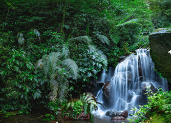 waterfall in the jungle