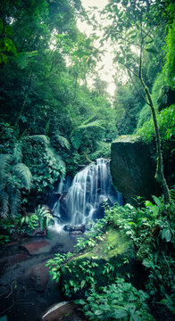 waterfall in the jungle