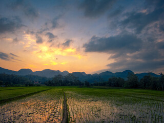 sunrise over the hills