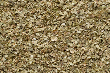 Flat lay detail view of oregano herb