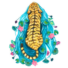 Tiger with water lilies, watercolor illustrations.