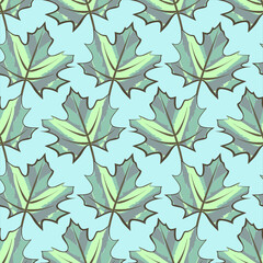 Vector - maple leaves seamless pattern.