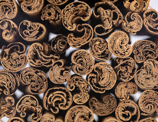 Close-up top view of cinnamon sticks. Selective focus points. Blurred background