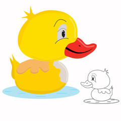 Yellow Duckling