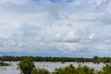 Looking flooded trees and country meadows on countryside as rain floods otherwise rural