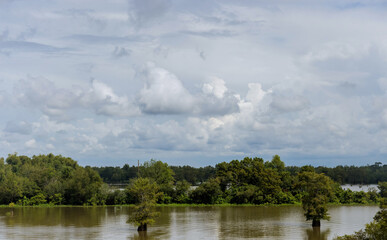 Horizontal landscape with flooded the valley field and trees