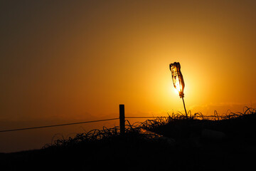 夕景に映えるペットボトル