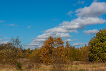 Fototapeta premium Colorful autumn landscape with forest, field, river and haystacks in central Russia.
