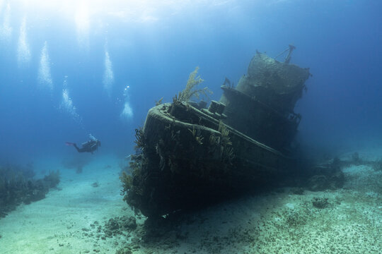 SCUBA Divers exploring a shipwreck in tropical waters