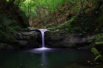 人里知れずひっそりと佇む森林の中の神の水