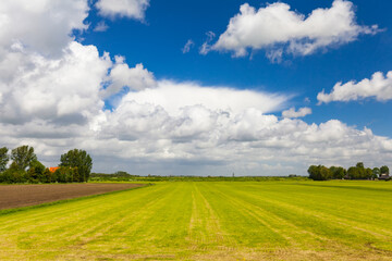 Fototapeta na wymiar Perfect sunshine day with green grass, Landscape with sky and clouds