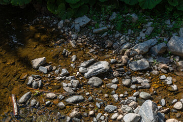 Stones and grass in a small river