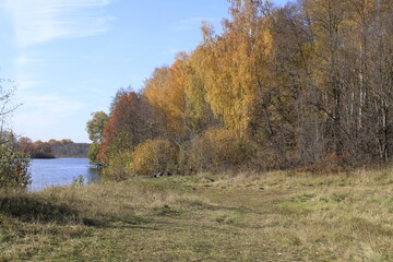 a lake in a deep forest