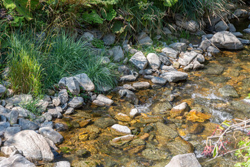 Stones and grass in a small river