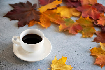 Multi colored maple leaves and white cup of coffee on a cement background. Autumn concept.