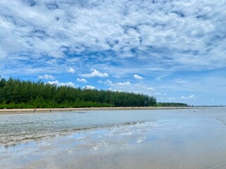 Beach and sky with forest trees