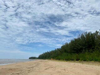 beach and trees with blue sky