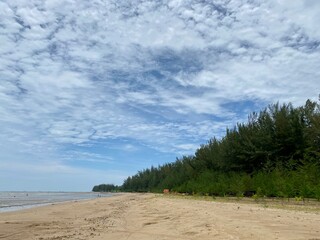 sand on the beach with forest trees and blue sky 