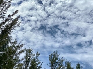 Obraz na płótnie Canvas Lanscape of blue sky and clouds