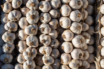 Fresh members in the sun during the day at the market 
