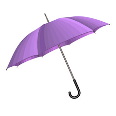 Violet umbrella isolated on white background. Vector