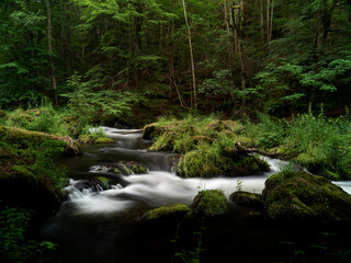 smooth motion of wild water in a river in summer with rocks and stones in the beautiful nature of a forest