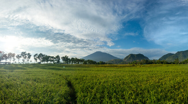 rajagaluh hills