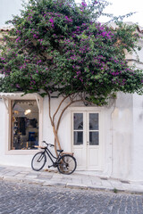 Fototapeta na wymiar Bougainvillea with purple flowers in front of shop at Hermoupolis Syros island Greece. Vertical