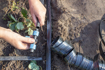 Close-up of the hands of a Caucasian elderly woman connecting the drip tape to the fitting. A farmer installs a drip irrigation system. Irrigation system, drip irrigation. Strawberry watering system