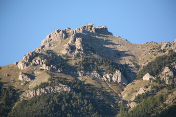 Cimes sous les premières neiges 
