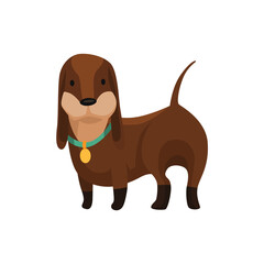 Dog dachshund. Cute funny character portrait. Short-legged pet with long body is standing on four. Adorable cartoon vector illustration