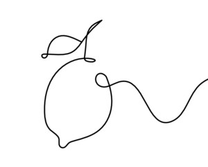 Drawing line lemon on the white background. Vector